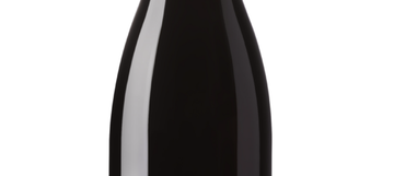 Domaine De La Cotellerai, Le Pigeur Fou 2022, St Nicolas de Bourgueil 6X75cl Sans-Sandbox