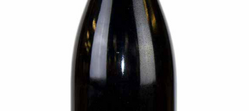 Les Athletes du vin, Saumur Champigny, 2022 6X75cl Sans-Sandbox
