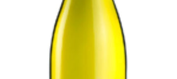 Domaine Tatin, Les lignis 2020, Reuilly white 6X75cl Sans-Sandbox